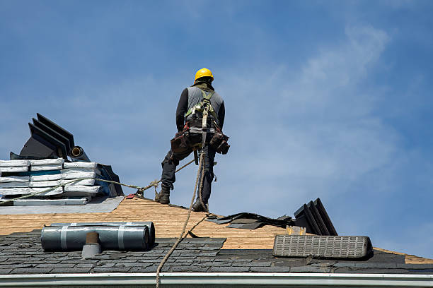Professional Roof Installation technician working in Augusta, WV